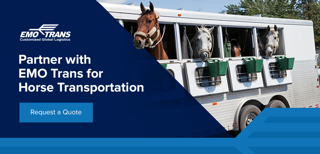 Partner with EMO Trans for Horse Transportation